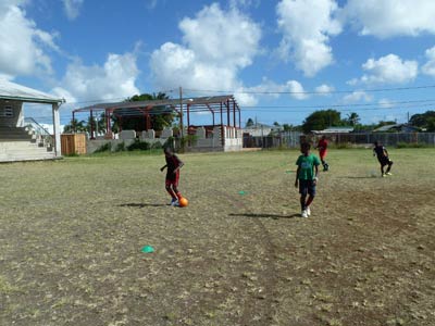 p1000817