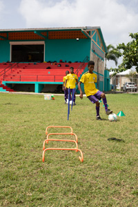 Brewster-Trust-23-064