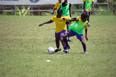 Brewster-Trust-23-078