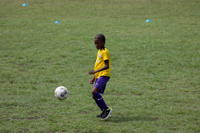 Brewster-Trust-23-095