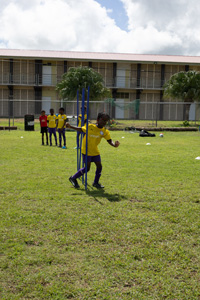 Brewster-Trust-23-114