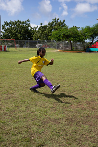 Brewster-Trust-23-115