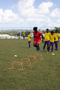 Brewster-Trust-23-121