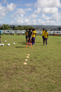 Brewster-Trust-23-122