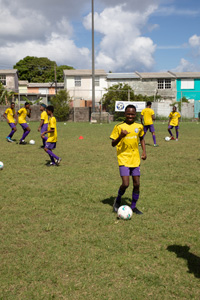 Brewster-Trust-23-130